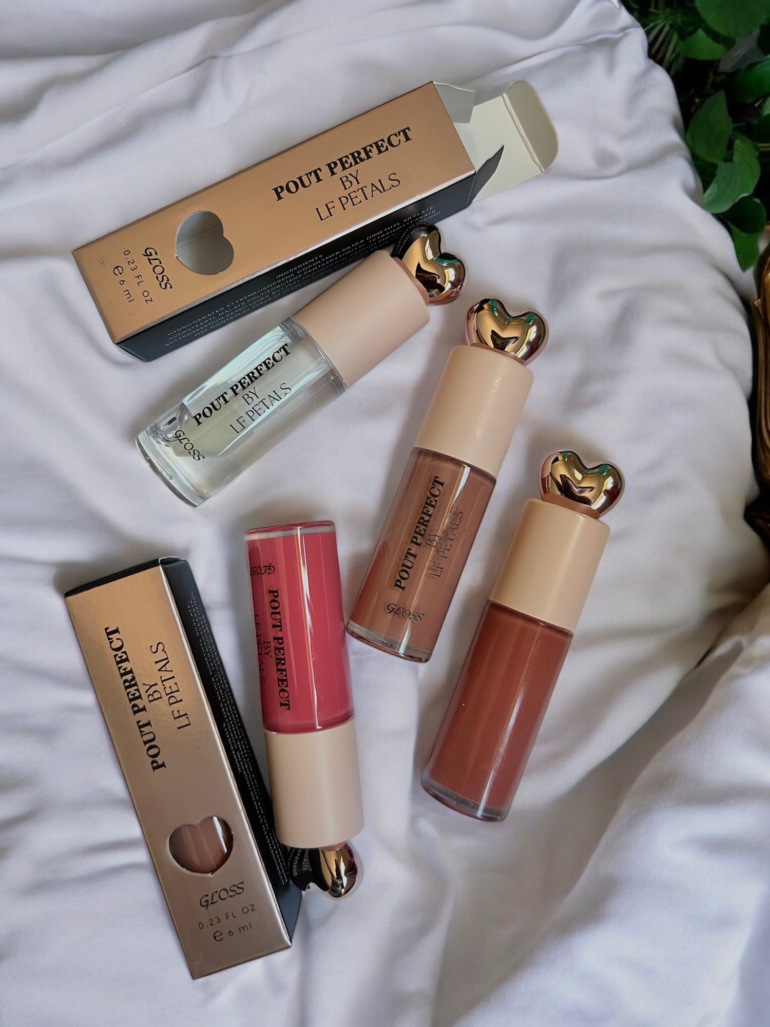 Lip Gloss