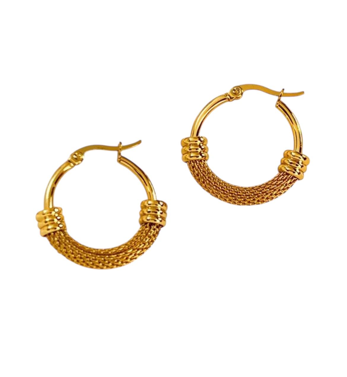Elegant stainless hoop Earrings-med